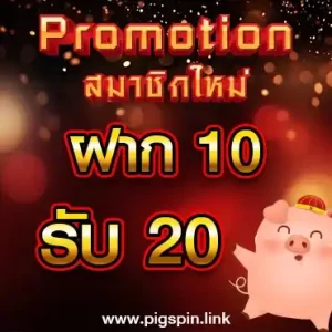 10 got 20 Promotion Pigspin