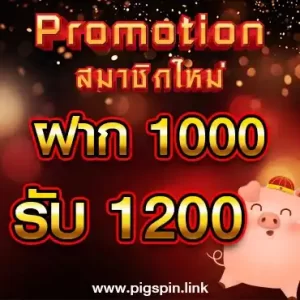 1000 got 1200 Promotion Pigspin